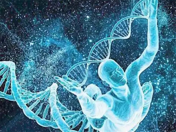 多囊治不好可以做试管婴儿吗